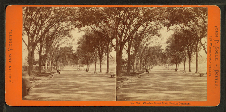 stereoscopic-photo